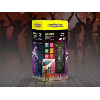 Акустична переносна колонка ZXX-5570 30Вт 2x6" 60х25х23см USB/TF/LED/EQ/FM/BT/2MIC/ДК  6299 