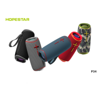 Колонка Hopestar P34 