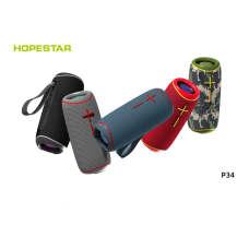 Колонка Hopestar P34 